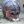 HE le Mon
