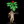 Ginseng